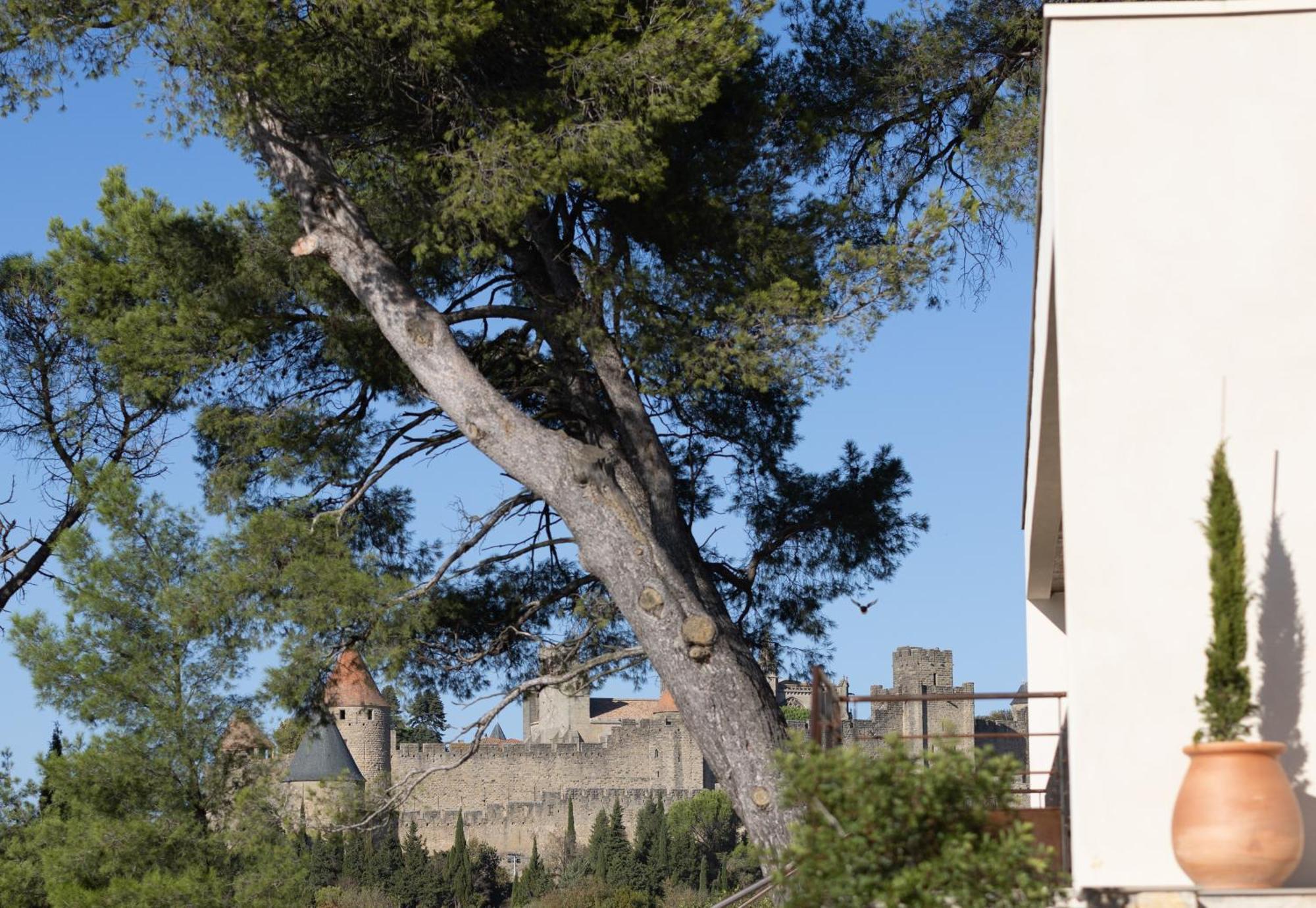 Villa St Francois Piscine Privee Chauffee ,Clim ,Parking Gratuit Carcassonne Exteriör bild